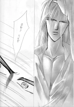 Page 13 of Sennen no Kodoku