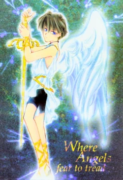 Page 1 of Where Angles fear to tread