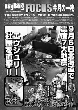 Page 65 of BugBug 2018-11 Vol.291