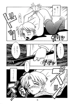 Page 14 of Nettai Ouhi