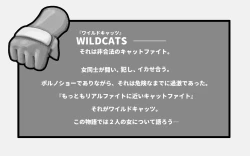 Page 4 of WILDCATS ~ Futanari Chika Battle