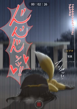 Page 38 of The bankruptcy of a company