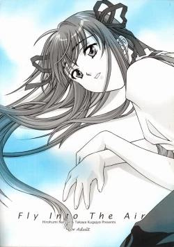 Page 1 of Fly Into The Air