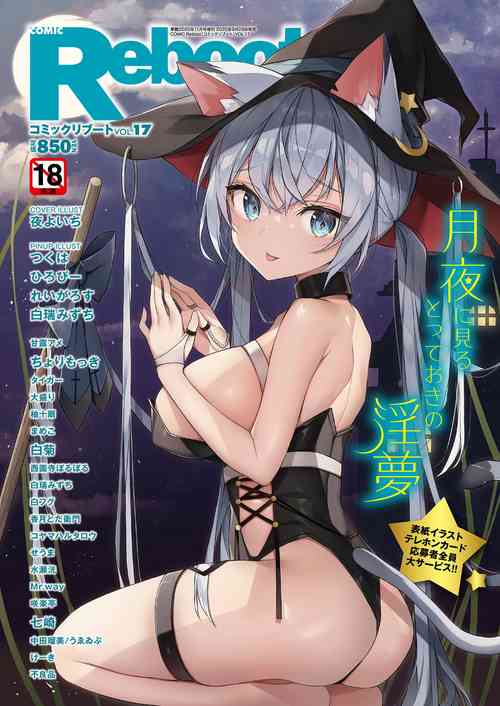 Download COMIC Reboot Vol. 17
