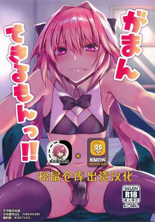 Download Gaman Dekiru mon!!