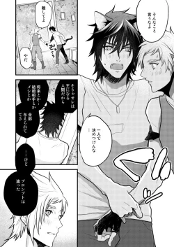 Page 27 of Lucis Cat Prince