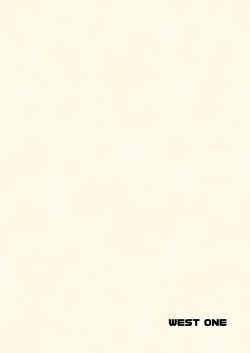 Page 26 of Kinmokusei