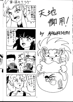 Page 13 of Tenimuhou