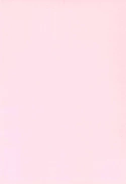 Page 4 of Cat Captor