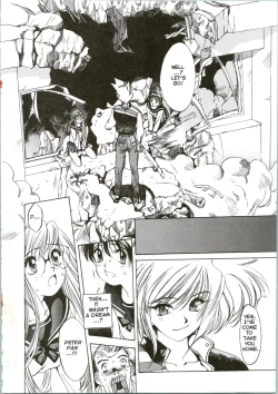 Page 19 of Silky Whip Extreme 08