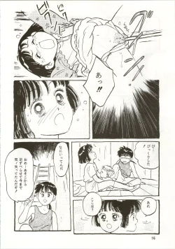 Page 16 of [Pelpan10-sai no Haha