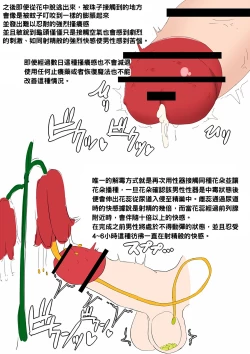 Page 3 of 搾精植物