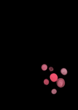 Page 56 of Sakyubasu ♂ to bukiyōna futari