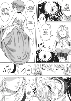 Page 15 of Boku wa Izayoi Sakuya ni Naritai | I Want to Be Sakuya Izayoi