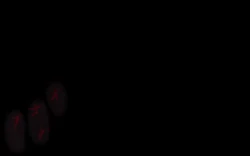 Page 183 of Itsumo no Koukei Season 4