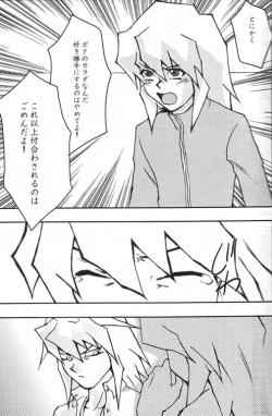 Page 13 of TapirholiSM2