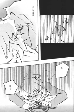 Page 17 of TapirholiSM2