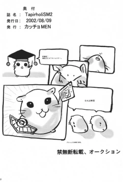 Page 25 of TapirholiSM2