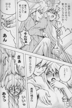 Page 12 of TapirholiSM