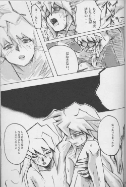 Page 13 of TapirholiSM