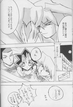 Page 14 of TapirholiSM