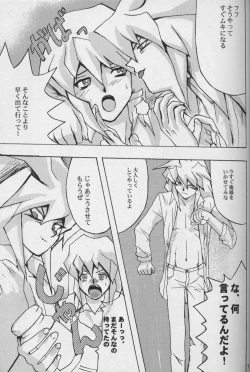 Page 9 of TapirholiSM