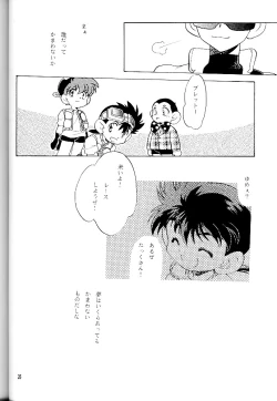 Page 25 of Meteor Light