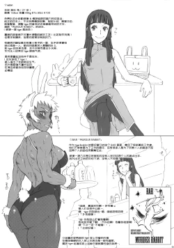 Page 4 of NIPPON TIGER & RABBIT