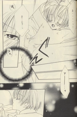 Page 18 of PORCELAIN