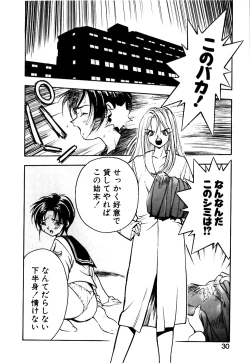 Page 31 of Otokonoko no Himitsu