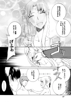Page 17 of Saber-san de Kyou no Gohan
