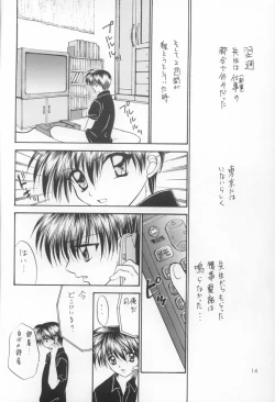 Page 13 of Bishounen Kinbaku Nisshi VIII