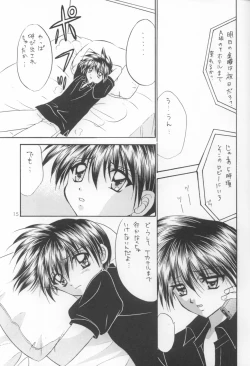 Page 14 of Bishounen Kinbaku Nisshi VIII