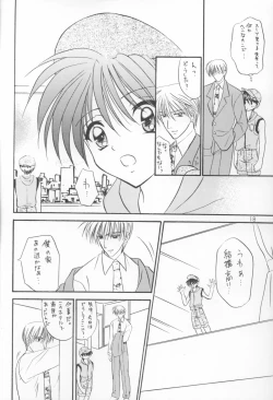 Page 17 of Bishounen Kinbaku Nisshi VIII