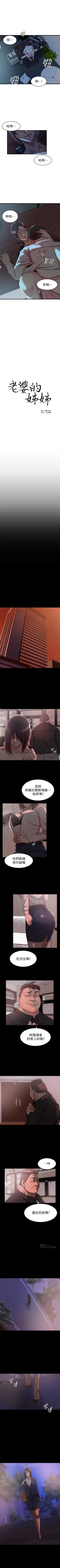 Page 208 of 老婆的姊姊 1-40 官方中文（完結）
