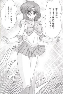 Page 16 of Mizuno Ami Nikki Z