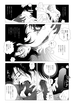 Page 28 of Kinmitsu