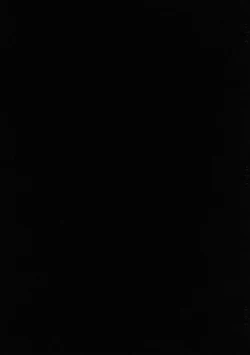 Page 2 of Kawamori Vol. 3