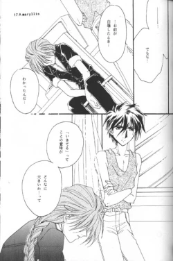 Page 15 of Amaryllis