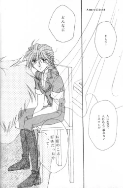 Page 16 of Amaryllis