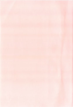 Page 167 of Futari no Himitsubeya