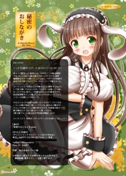 Page 17 of Himitsu no Oshinagaki plus