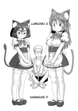 Page 2 of LumiChro 2