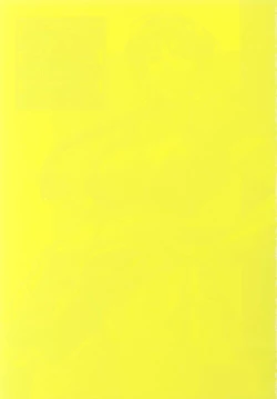 Page 2 of RNH - Refine Ninja Hologram