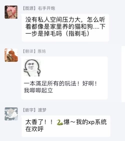 Page 47 of Gourmet Namamono ni Mamorarete Imasu | 被美食家恶魔保护