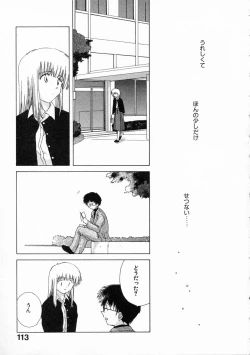 Page 118 of Toumei na Tori
