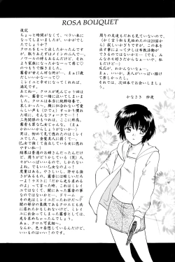 Page 20 of Rosa Bouquet