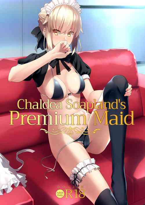 Download Chaldea Soap SSS-kyuu Gohoushi Maid | Chaldea Soapland's Premium Maid