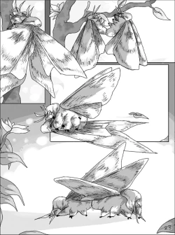 Page 25 of Light of Love