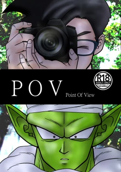 Page 1 of POV